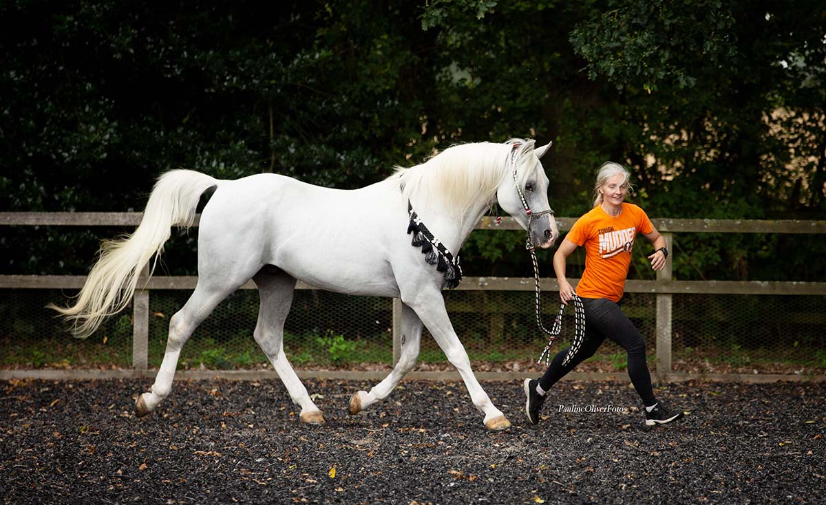 silvern-prince-2